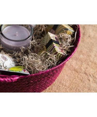 Preserved Natural Spanish Moss - 8oz (200 cubic inches) Bag - Buy Online on SooperMarket.com
