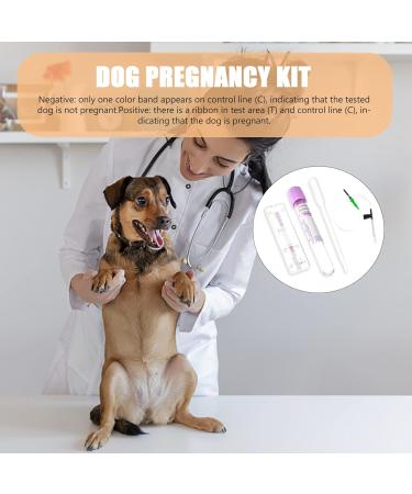GANAZONO Pet Dog Pregnancy Pregnant Test Paper Strip Fast and Accurate Detection Pet Dog Pregnancy Test Card Dog Pregnant Test - Buy Online on SooperMarket.com