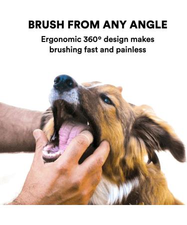 Jasper 360 Finger Toothbrush Kit for Pets - Full Surround Bristles, Dental Care for Puppies, Cats - Blue 2-Pack - Buy Online on SooperMarket.com