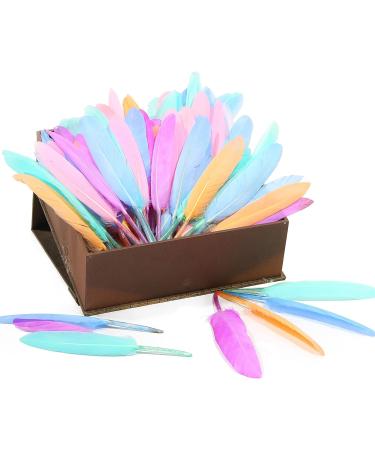 FeelfunFeather 240pcs Macaron Goose Cochettes Feathers 4-6 inch Bulk Natural - Wedding Party Halloween DIY Crafts - Buy Online on SooperMarket.com