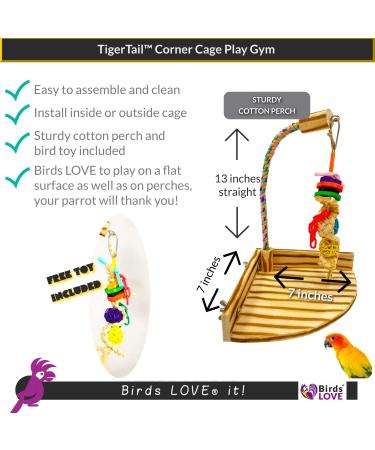 Birds LOVE TigerTail Tabletop Play Gym for Small Corner Cage - Free Parrot Toy Included! - Buy Online on SooperMarket.com