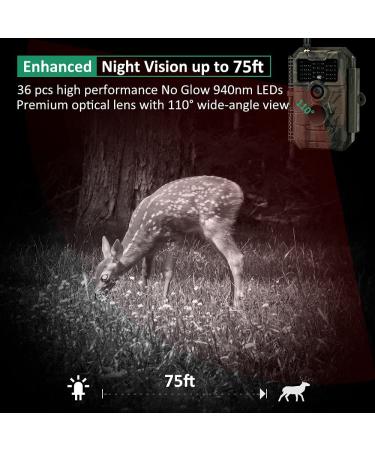 GardePro E6 Trail Camera - 24MP WiFi Game Camera with No Glow Night Vision - Buy Online on SooperMarket.com