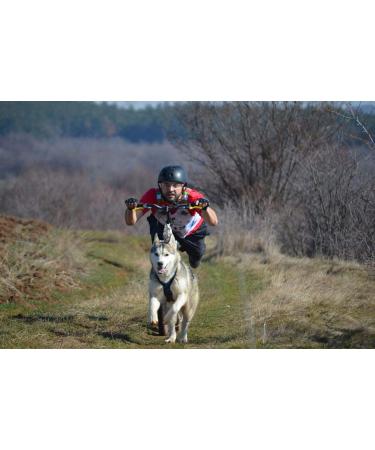 Northern Howl X-Back Dog Harness - XL Red for Canicross Bikejoring Skijoring & Dogscooting - International Shipping Available - Buy Online on SooperMarket.com