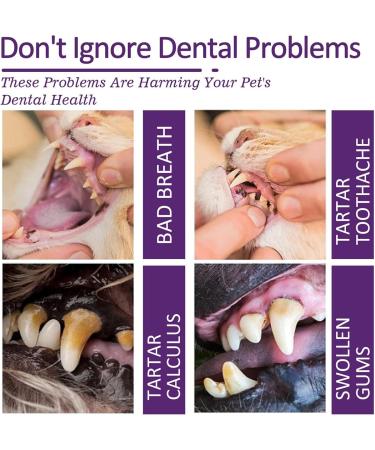 60g Pet Toothpaste - Enhances Gum Health Eliminates Bad Breath & Cleans Teeth | 2.12fl.Oz International Shipping - Buy Online on SooperMarket.com