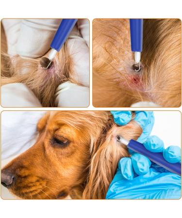 Kasimir Tick Removal Tool with Light Loops - Safe & Reliable Alternative to Tick Tweezers for All Sizes - Buy Online on SooperMarket.com