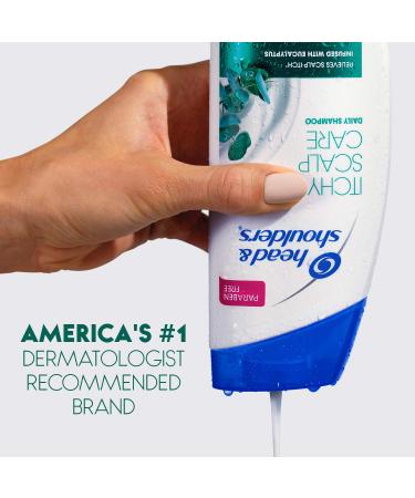 Head and Shoulders Itchy Scalp Care Anti-Dandruff Shampoo - Paraben Free, 13.5 fl oz - Buy Online on SooperMarket.com