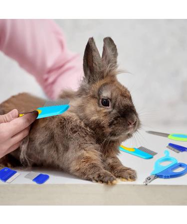 12-Piece Rabbit Grooming Kit: Nail Clipper, Trimmer, Hair Remover, Comb, Massage Brush, Toothbrush - Blue - Buy Online on SooperMarket.com