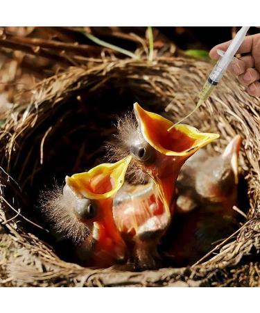 Baby Bird Feeding Syringe Set 10ml 20ml 60ml Pet Parrot Feeding Syringe with Tubes Bird Syringe Feeder Measuring Syringe Tools for Feeding Small Animals Scientific Industrial Labs (10ml+20ml+60ml) - Buy Online on SooperMarket.com