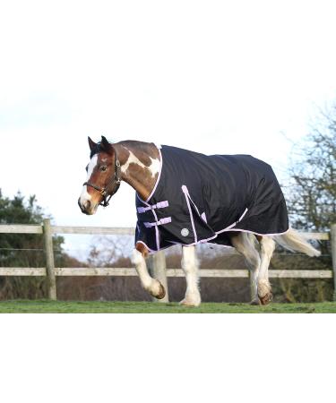 AUTUMNN EQUESTRIAN 50G FILL HORSE TURNOUT RUG LIGHTWEIGHT STANDARD NECK HORSE RUG WATERPROOF 600D HORSE RUG (5'9'') - Buy Online on SooperMarket.com