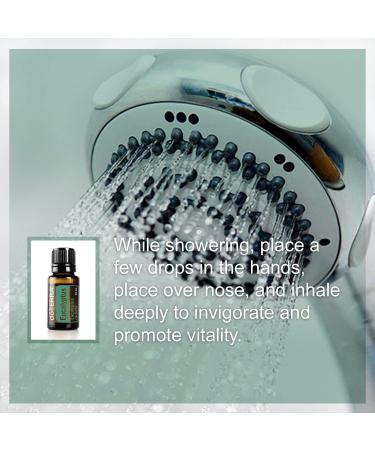 doTERRA Eucalyptus Radiata Essential Oil - 15 mL | Pure & Natural Aromatherapy - Buy Online on SooperMarket.com