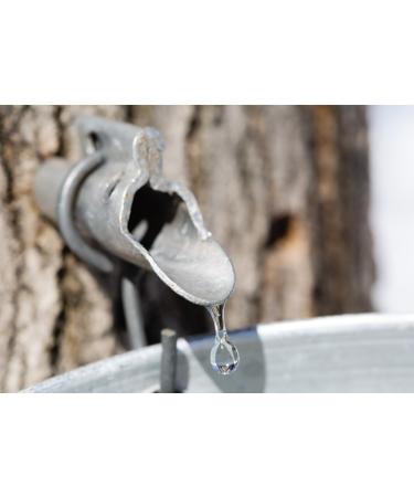 Organic Canadian Maple Syrup Grade-A Amber Rich Taste | 100ml - All-Natural, Delicious Sweetness, Gluten-Free & Vegan Friendly - Buy Online on SooperMarket.com