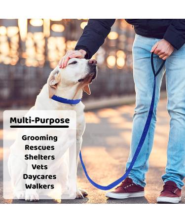 Downtown Pet Supply 6ft Dog Kennel Slip Lead Leash - Veterinarian Approved for Grooming, Daycare & Rescue - Bulk Pack of 6 Thick Leashes for Dogs - Buy Online on SooperMarket.com