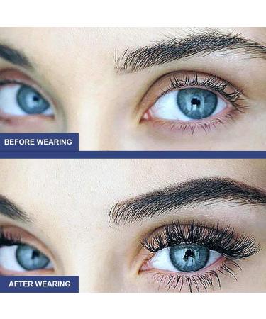 DASHIELL False Eyelashes Magnetic | No Glue Needed Eyelashes Kit With Applicator | Easy To Apply Lightweight Reusable No Glue Needed Lashes For All-Day Comfort - Buy Online on SooperMarket.com