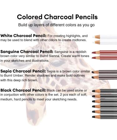 Dyvicl Charcoal Pencils Drawing Set - 12 Pieces for Drawing, Sketching, Shading, Blending - Ideal for Beginners and Artists - Buy Online on SooperMarket.com