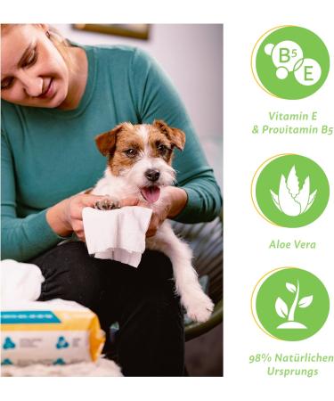 FIRSTPAW XXL Nursing Towels for Dogs - 100 Biodegradable Hypoallergenic Cleaning Cloths with Aloe Vera - Perfect for Eyes Ears & Paws - Buy Online on SooperMarket.com
