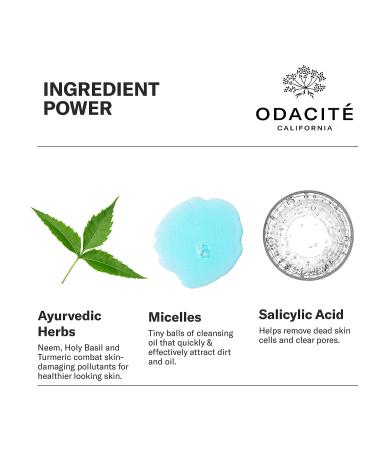 Odacite Blue Aura Cleansing Water - Neem, Holy Basil & Turmeric Face Wash - 4.0 fl. Oz - Buy Online on SooperMarket.com