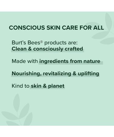 Burt's Bees Foaming BHA Face Wash - Breakout Defense Cleanser 8 Oz - Buy Online on SooperMarket.com