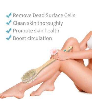 Metene 2 Pack Shower Brush - Dual-Sided Long Handle Back Scrubber & Body Exfoliator for WetDry Brushing - Buy Online on SooperMarket.com