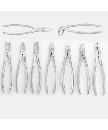 Stainless Steel Tooth Extraction Forceps Set - 10pcs Dental Extraction Tools for Dentists - Premium Instrument Kit for Effective Tooth Removal - Buy Online on SooperMarket.com