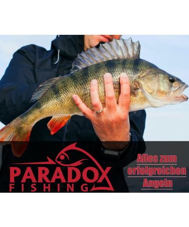 Paradox Fishing Triple Vertebrae Sets - 45 Piece Fishing Accessories (#20 to #10) for Optimal Angling - Buy Online on SooperMarket.com