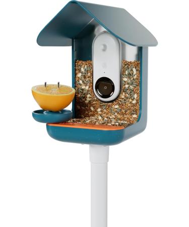 Bird Buddy Original 3-in-1 Feeding Set | Water Fountain Fruit Skewer & Jelly Tray - Blue Color | International Shipping - Buy Online on SooperMarket.com