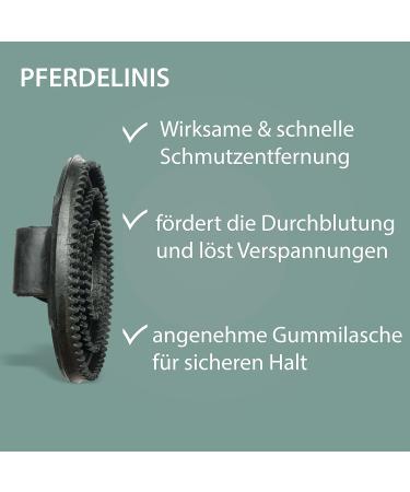 Rubber Liner Grooming Brush for Horses Dogs & Cats | Cleaning & Massage Tool for Pet Health & Well-Being - Buy Online on SooperMarket.com