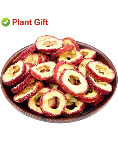 PlantGift Hawthorn Berry 80G/2.82oz China Medicinal Herb (Shanzha/Dried Hawthorne) Dried Bulk Health Tea Hawthorn Berries - Buy Online on SooperMarket.com