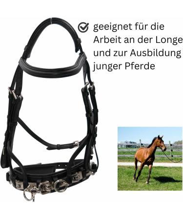 Buy AMKA Leather Cavesson with Bit Buckle - Premium Quality & Comfort for Equine Enthusiasts | International Shipping Available - Buy Online on SooperMarket.com