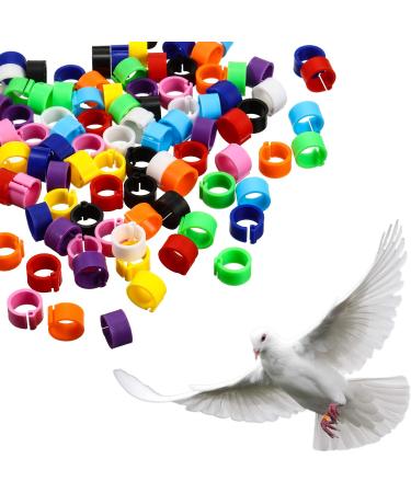 Weewooday 300 Pieces 8 mm Bird Ring Leg Bands Plastic Multi-Colour Pigeon Foot Bands Clip on Leg Rings for Chicks Bantam Finch Dove Lovebird Quail Small Poultry