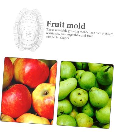 BCOATH Forming Vegetable Tool Clear Gardener Ginseng for Decorative Watermelon Transparent - Buy Online on SooperMarket.com