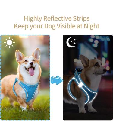 Heele Dog Harness for Small & Medium Dogs | Adjustable Reflective Soft Mesh Breastplate | Breathable Sky Blue Puppy Harness - Buy Online on SooperMarket.com