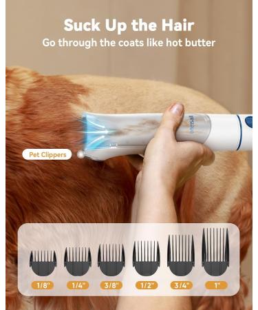 oneisall Dog Grooming Kit | Vacuum Blow Dryer & Clippers | 8 Tools for Shedding & Trimming | 7 Heat Levels | 2.5L Capacity - Buy Online on SooperMarket.com