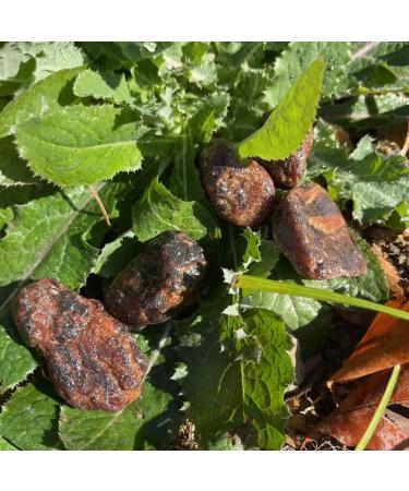 100g Crystals Stone Orange Garnet raw Stone for fengshui ZJGIDTEM - Buy Online on SooperMarket.com