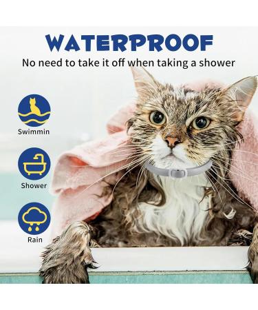 Kreezypet Flea and Tick Collar for Cats | 24-Month Protection | Essential Oils | 19 Inches | 3-Pack | International Shipping - Buy Online on SooperMarket.com