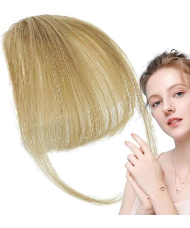 Dranng Bang Extensions Clip Human Hair French Bangs Clip on Fake Bangs Fringe Natural Color Fringe Hairpieces Stylish Neat Bangs Hair Extension for Girls Women gray gold - Buy Online on SooperMarket.com