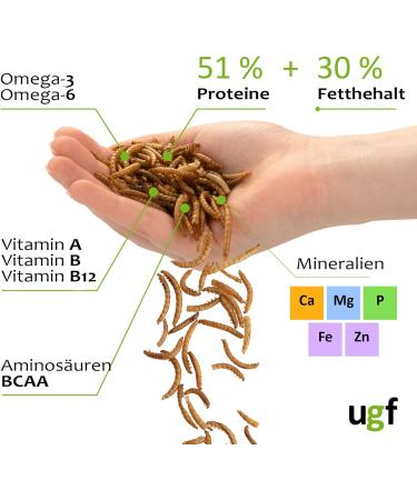 UGF Juicy Preserved Mealworms 140g - Premium Bird Food Hedgehog & Squirrel Treats Year-Round Nutrition - Buy Online on SooperMarket.com