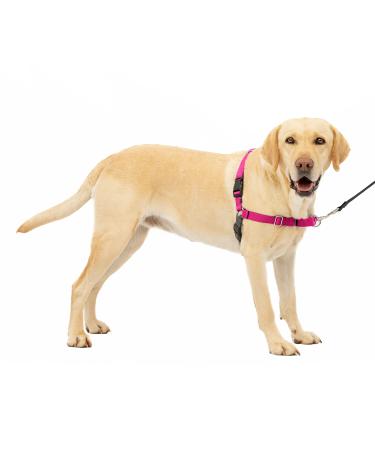 PetSafe Easy Walk Harness Anti-Pull Dog Harness Reduces Choking and Coughing With 1.8M Leash Size L Pink L Pink