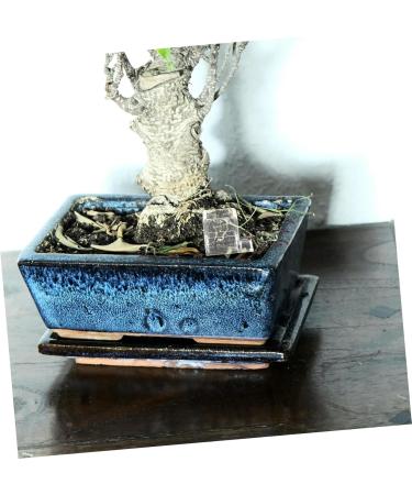 Mipcase 2pcs Pet Water Feeder Ants Nest Water Feeder Ants Nest Water Feeding Area Ants Water Feeder Plastic - Buy Online on SooperMarket.com