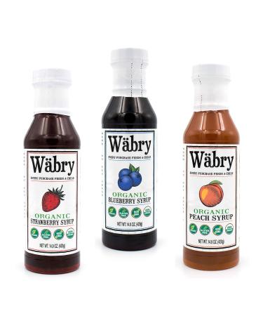 Wbry Organic Syrup 14.9 oz Strawberry, Blueberry, Peach (Fruit Variety 3 Pack) BPA-Free Plastic Variety 3 Pack (Fruit) 14.9 Ounce (Pack of 3)