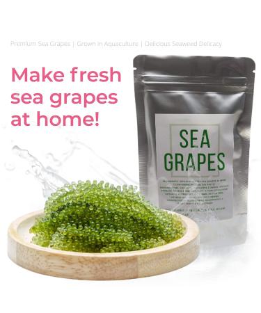Umibudo Sea Grapes - Delectable Green Caviar Seaweed, 1.76oz/50g - Rehydrates to 1/2 Pound - Brine Dehydrated - Buy Online on SooperMarket.com