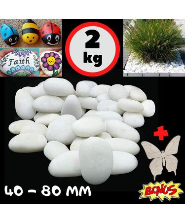 VELLES Pebbles for Painting Large Garden Stones White Natural Rock for Paint Rocks Marble Gravel to Decorative Stone Aquarium Decor Polished Pebble Art Scottish Cobbles for Pond - 1.9kg (40-80mm) 40-80 mm (WeiÃ) - Buy Online on SooperMarket.com