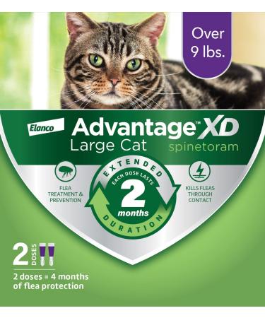 Advantage XD Long-Lasting Flea Prevention & Treatment for Large Cats (Over 9 lbs) 2 Pack