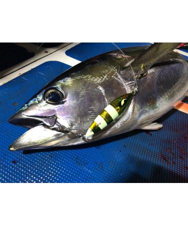 Ocean Cat Slow Fall Pitch Fishing Lure Set - 1PC Sinking Lead Metal Flat Jigs with Hooks | 100g | Ideal for Saltwater Jigging - Buy Online on SooperMarket.com