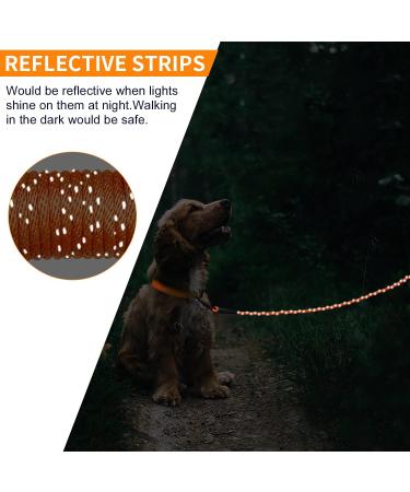 Joytale Reflective Drag Line for Dogs - 5m Padded Leash with 2 Carabiners | Nylon Training Rope for Puppies & Small Dogs - Orange - Buy Online on SooperMarket.com