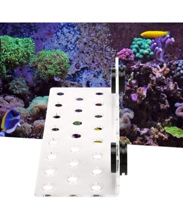 Cikonielf Magnetic Coral Rack Holder - 23 Hole Transparent Acrylic Aquarium Coral Bracket for Marine Tanks - Buy Online on SooperMarket.com