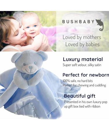 BUSHBABY 'A New Star is Born' Baby Comfort Blanket in Box | Blue Baby Gift Set for Boys | Plush Teddy Security Blanket for Newborns | Soft Toy for Babies - 10cm - Buy Online on SooperMarket.com