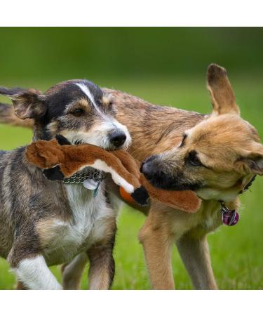 Stuffingless Dog Toy Squirrel Raccoon Squeaky Plush Dog Toy Stuffingless Dog Chew Toy for Small Medium Dogs - 2 Pack 45cm 2 Packs 45cm - Buy Online on SooperMarket.com