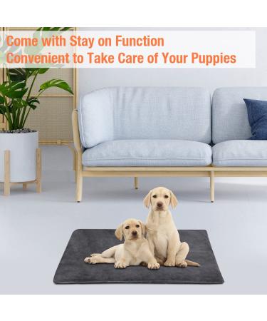 ENJOY PET Dog Heating Pad - 12 Level Timer and Temperature Control - Indoor Pet Heating Mat for Cats and Dogs - Chew Resistant Cord - Large 28 x 18 - Buy Online on SooperMarket.com