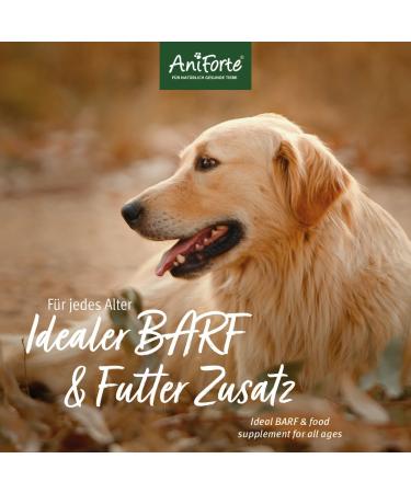 Aniforte Ground Bones for Dogs & Cats 1 kg - Natural Calcium for Bone Health & Joints Pure Beef Meat Bone Flour - BARF & Feed Supplement - Buy Online on SooperMarket.com