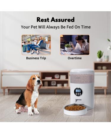 WOPET 4L Automatic Cat Feeder with Desiccant Bag - Programmable Pet Food Dispenser for Small/Medium Pets - White - Buy Online on SooperMarket.com